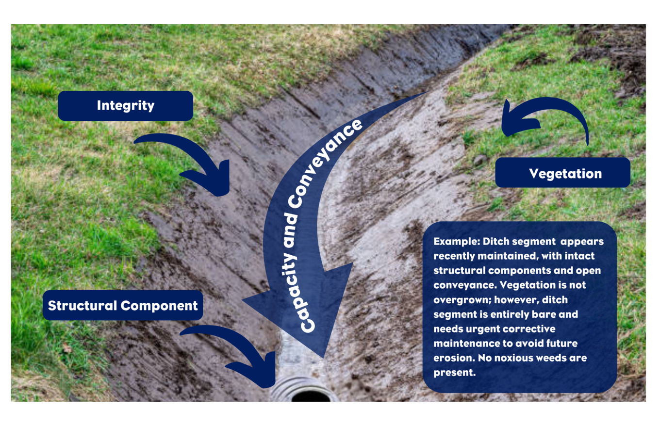 TDO Ditch Assessment