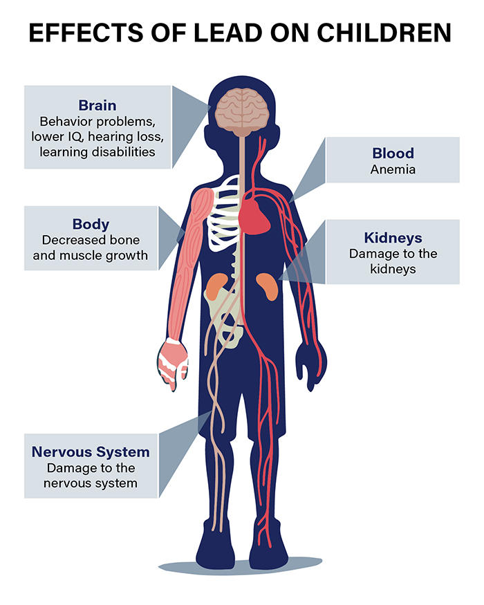 Effects of Lead on Children